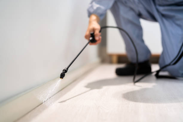 Certified termite inspector examining foundation in Winfield