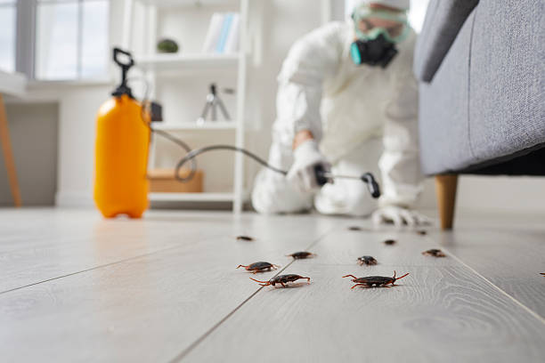 Commercial Kitchen Cockroach Control in Winfield